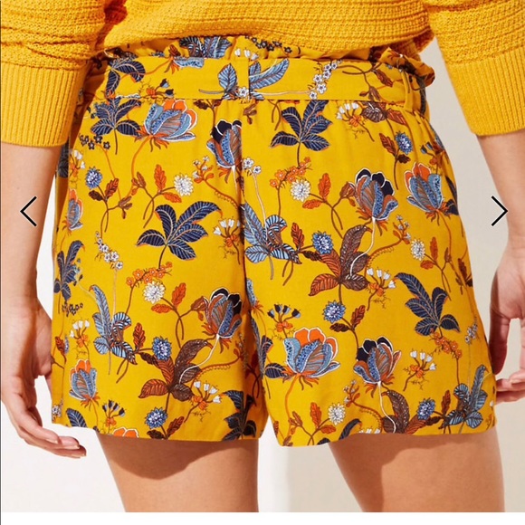 ✨ Loft bouquet 💐 tie waist shorts 🛍 - Picture 3 of 4